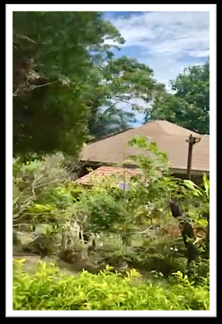 FIRE SALE! BEACH RESORT PROPERTY - Image# 13
