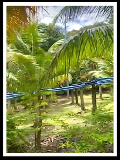 FIRE SALE! BEACH RESORT PROPERTY - Image# 18